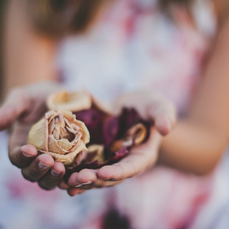 katherine-hanlon-roy7lf1zxl8-unsplash-1_orig (2)